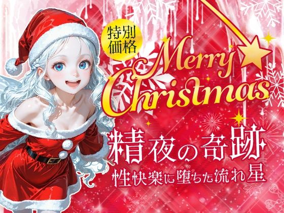 Merry Christmas  精夜の奇跡