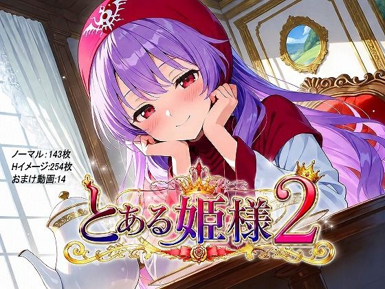 とある姫様2